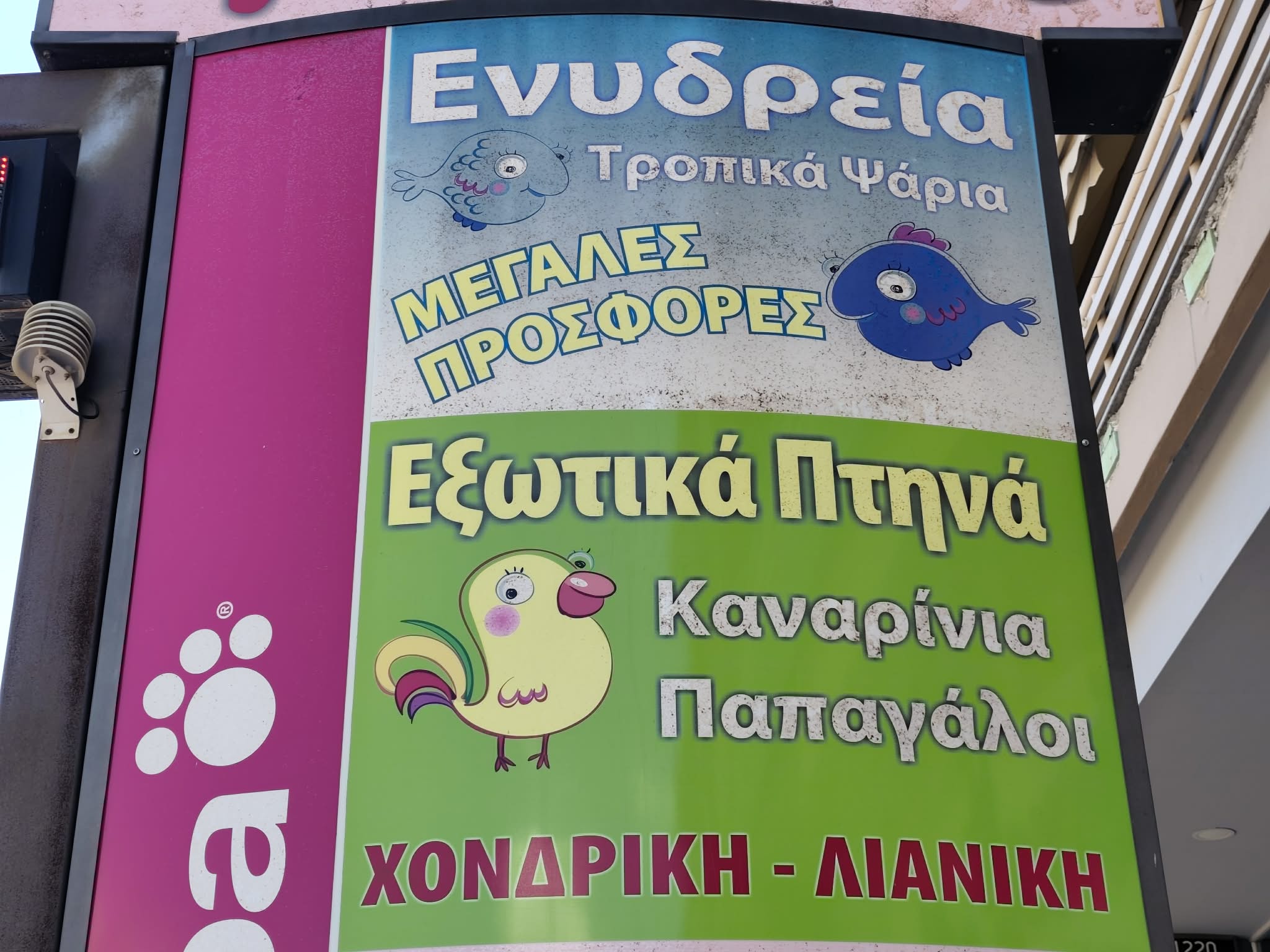 ΑΜΑΖΟΝΙΟΣ PET CENTER